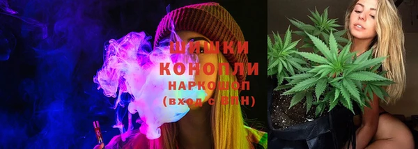 ГАЛЛЮЦИНОГЕННЫЕ ГРИБЫ Алексин