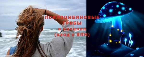 apvp Алексеевка