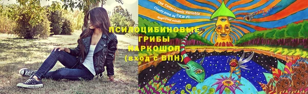 ГАЛЛЮЦИНОГЕННЫЕ ГРИБЫ Алексин