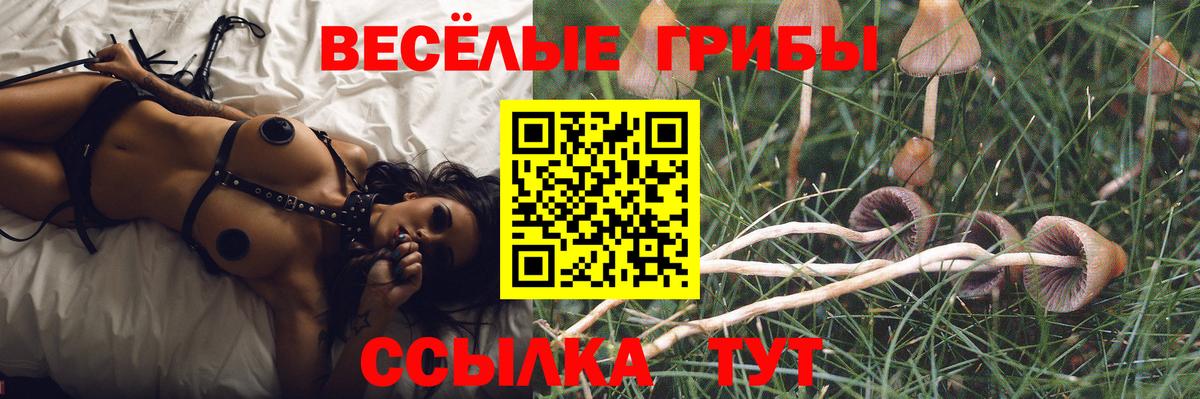 Галлюциногенные грибы мицелий  Вход с VPN  Богородск  Галлюциногенные грибы GOLDEN TEACHER 